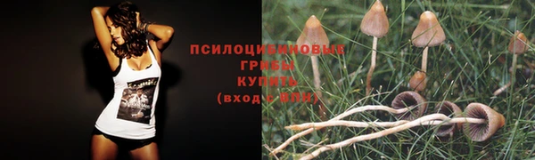 мет Медвежьегорск
