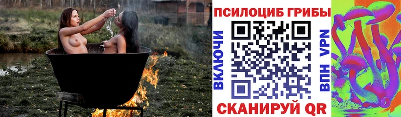 Купить закладки  Тара  Псилоцибиновые грибы мухоморы 